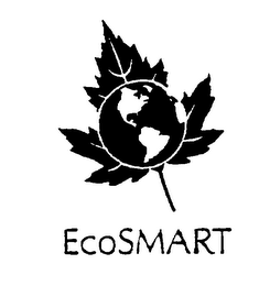 ECOSMART