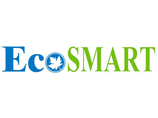 ECOSMART logo