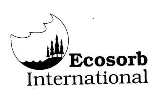 ECOSORB INTERNATIONAL