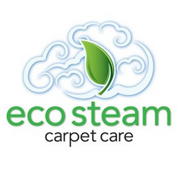 ECOSTEAM CARPET CARE logo