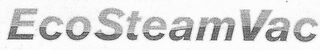 ECOSTEAMVAC logo