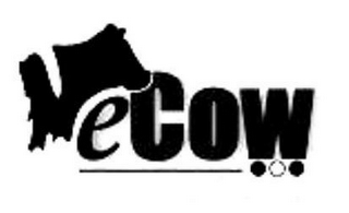 ECOW logo
