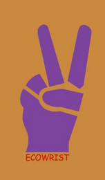 ECOWRIST logo