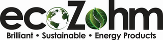 ECOZOHM BRILLIANT · SUSTAINABLE · ENERGY PRODUCTS logo
