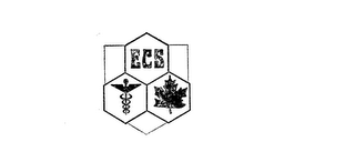 ECS logo