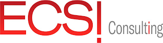 ECS! CONSULTING logo