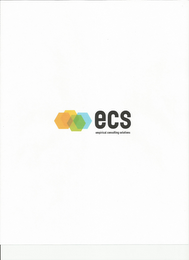 ECS EMPIRICAL CONSULTING SOLUTIONS logo