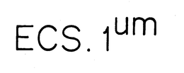 ECS.1UM logo