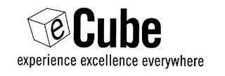 ECUBE EXPERIENCE EXCELLENCE EVERYWHERE logo
