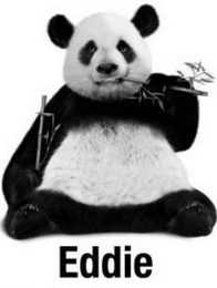 EDDIE logo