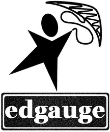 EDGAUGE logo