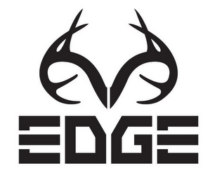 EDGE logo