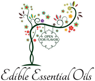 EDIBLE ESSENTIAL OILS - OPEN FOR FLAVOR logo
