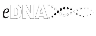 EDNA logo