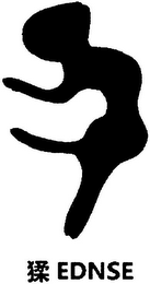 EDNSE logo
