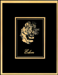 EDON logo