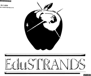 EDUSTRANDS logo