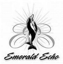 EE EMERALD ECHO logo