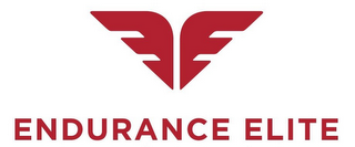 EE ENDURANCE ELITE logo