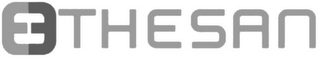 EEI THESAN logo