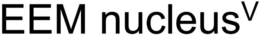 EEM NUCLEUSV logo