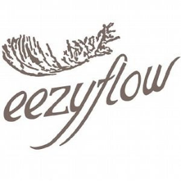 EEZYFLOW logo