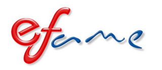EFAME logo