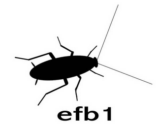 EFB 1 logo