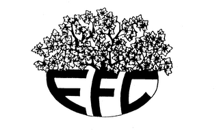 EFC logo