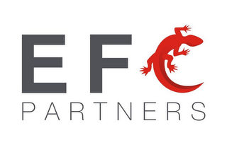 EFC PARTNERS logo