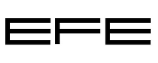 EFE logo