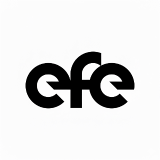EFE logo