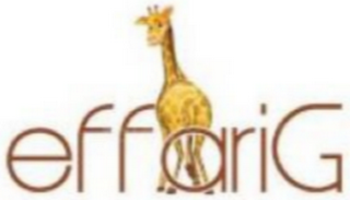 EFFARIG logo