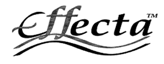 EFFECTA logo