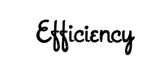 EFFICIENCY logo