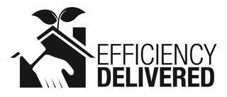 EFFICIENCY DELIVERED logo