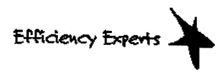 EFFICIENCY EXPERTS logo