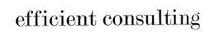 EFFICIENT CONSULTING
