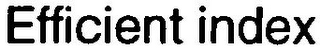 EFFICIENT INDEX logo
