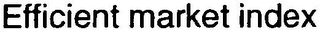 EFFICIENT MARKET INDEX logo