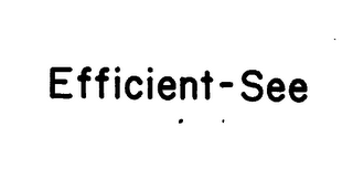 EFFICIENT-SEE logo
