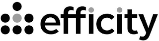 EFFICITY logo