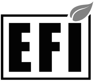 EFI logo