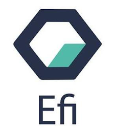 EFI logo
