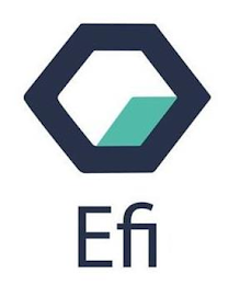 EFI logo
