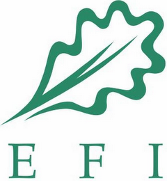 EFI logo
