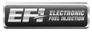 EFI ELECTRONIC FUEL INJECTION logo