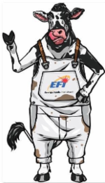 EFI ENERGY FEEDS INTERNATIONAL logo