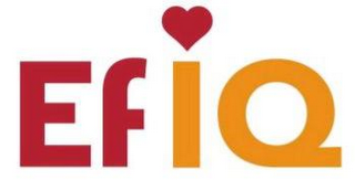 EFIQ logo