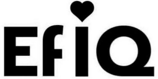 EFIQ logo